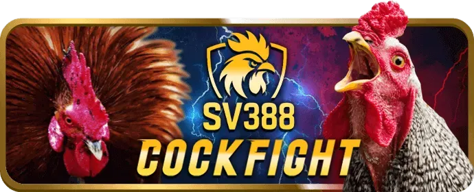 Lợi Ích Khi Chơi Slot tại king79 app